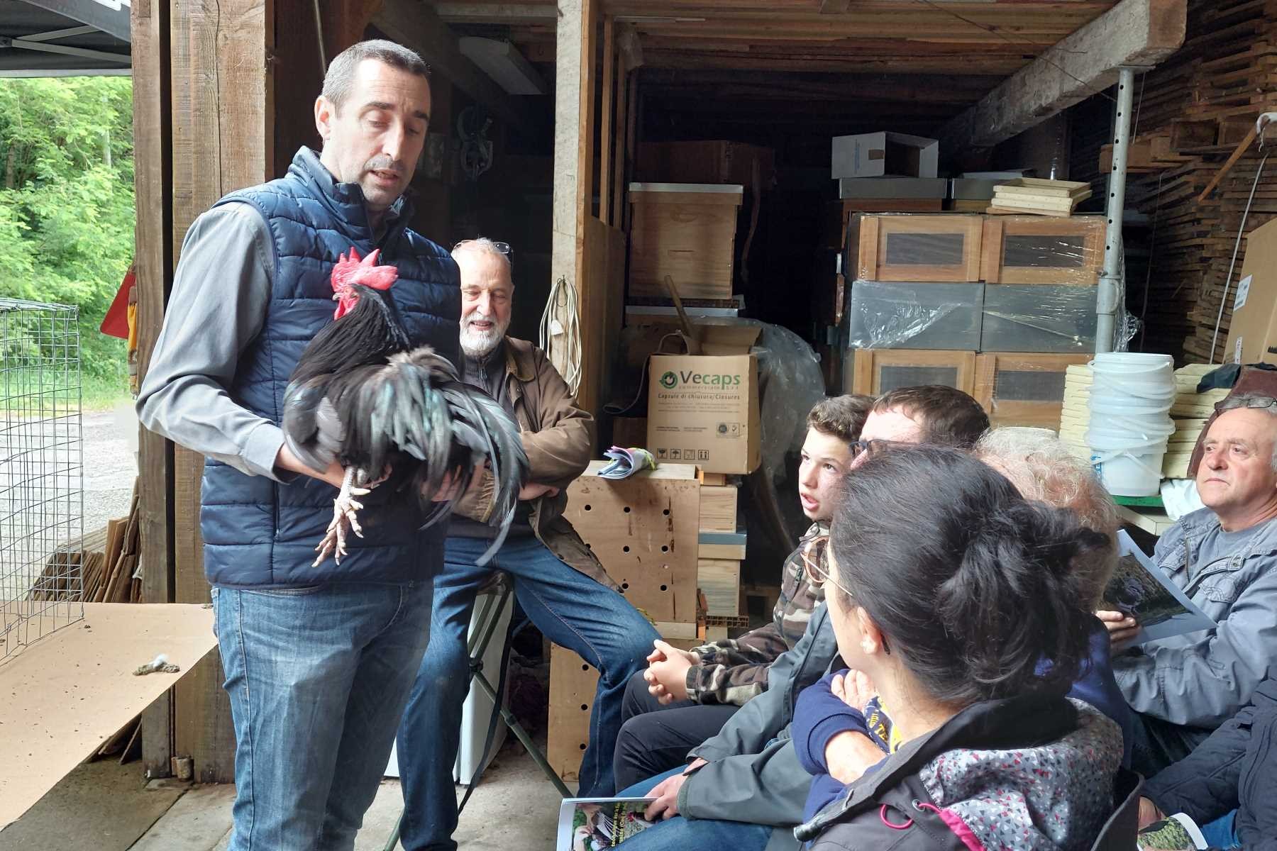 Img 20240616 160418